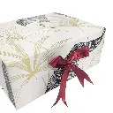 IMG-20250412-WA0115-Photoroom (1).webp