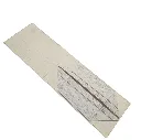 222_4.webp