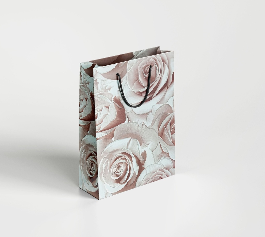 Premium Paper Bag 04 | Size 10*12*4 inch / 8017