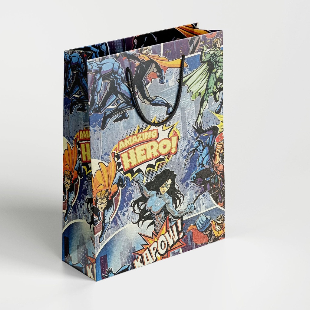 Premium Paper Bag 04 | Size 10*14*4 inch / 8010