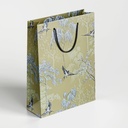 Premium Paper Bag 04 | Size 10*14*4 inch / 8009