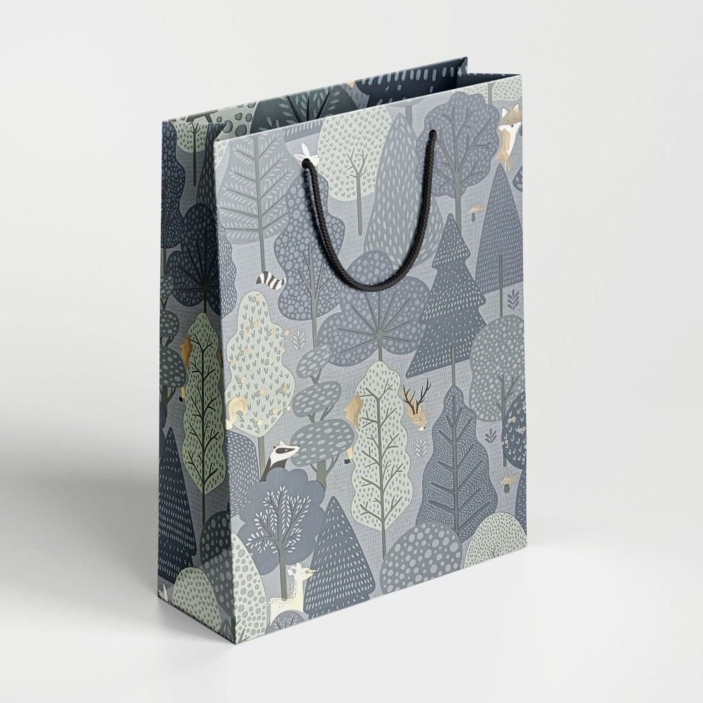 Premium Paper Bag 04 | Size 10*14*4 inch / 8008