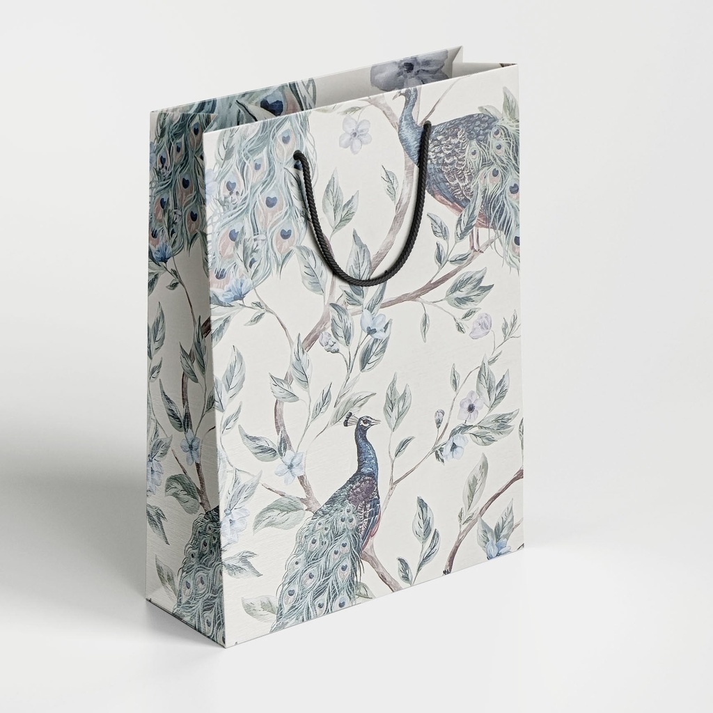 Premium Paper Bag | Size 10*14*4 inch / 8007