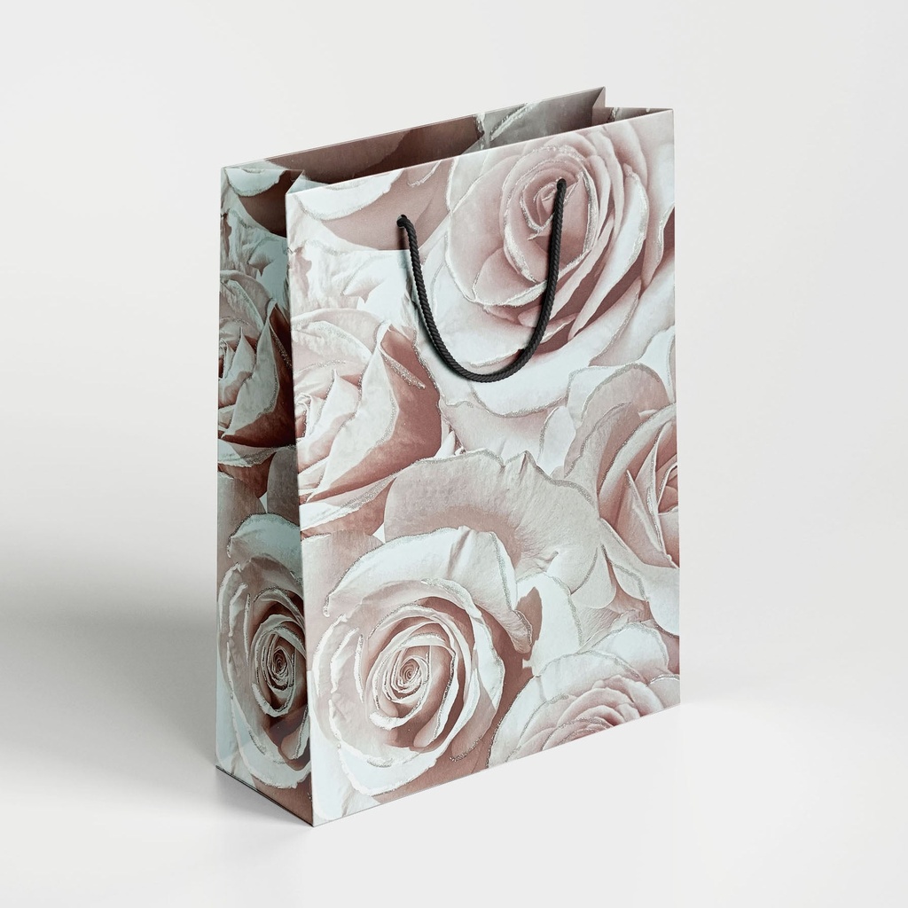 Premium Paper Bag | Size 10*14*4 inch / 8005