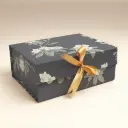 Gift Boxes Foldable Box | SIZE 10x8x4 inches / 7025