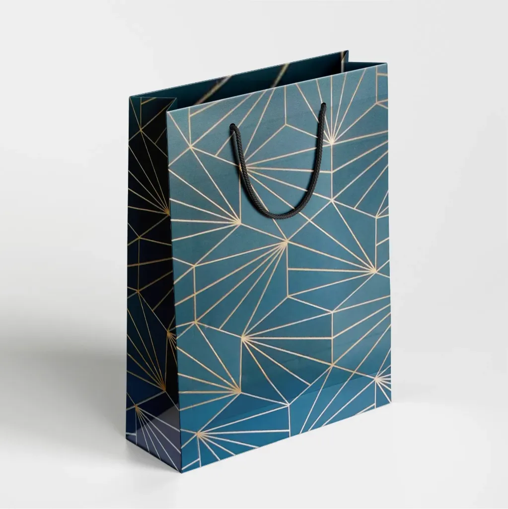 Premium Paper Bag | Size 10*12*4 inch / 8019