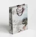 Premium Paper Bag | Size 10*12*4 inch / 8021 / PACK OF 10