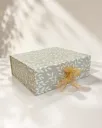 Gift Box  Foldable Box | SIZE 10x12x4 inches /3028 (PACK OF 5)